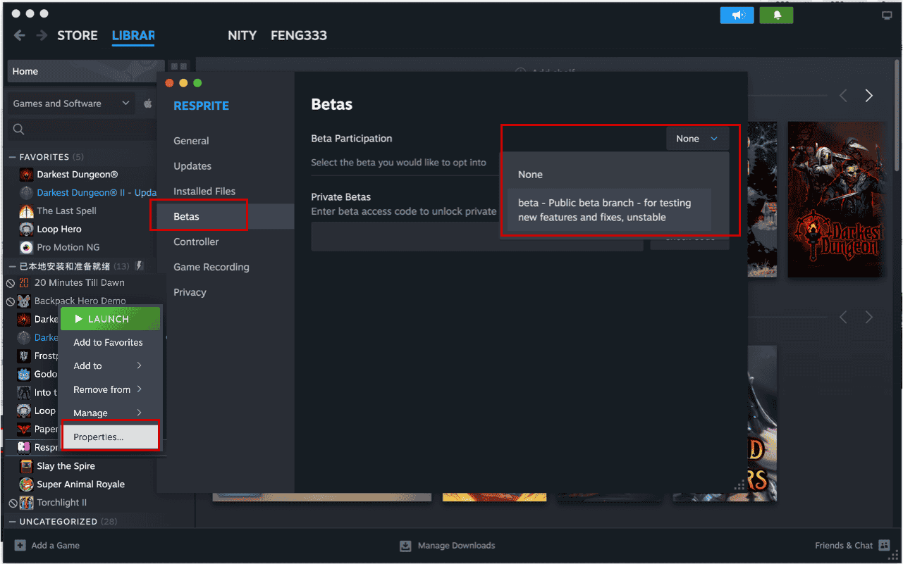 steam_beta_branch_en.png